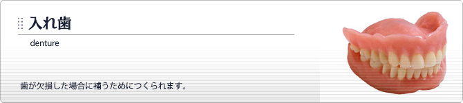入れ歯