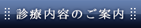 診療内容のご案内